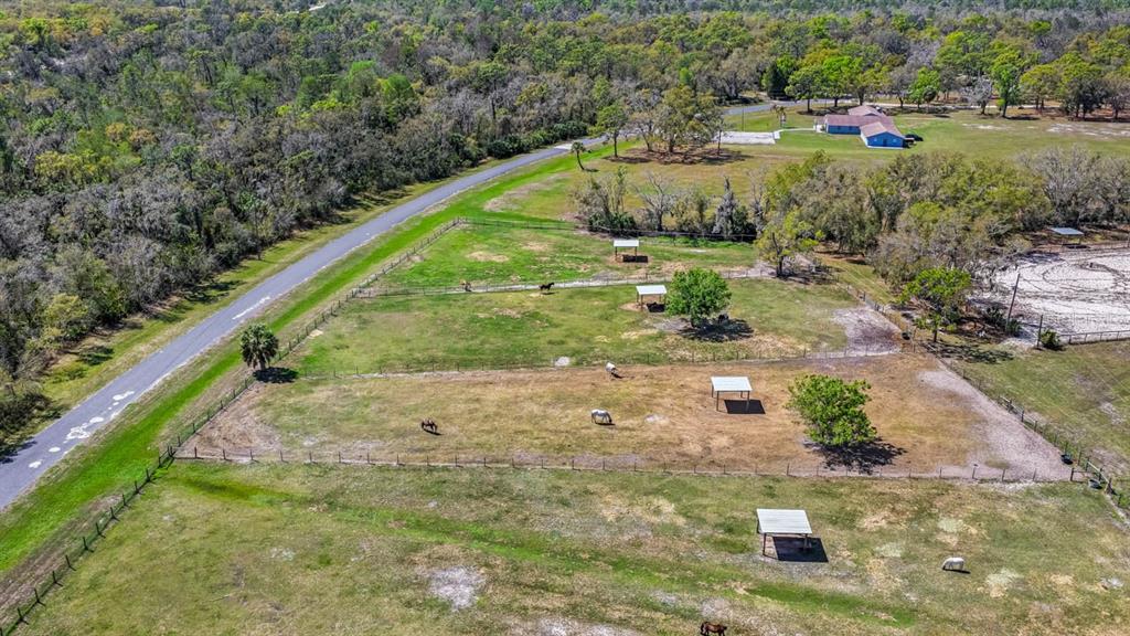 3106 Timberlee Road Wimauma, FL 33598 - Photo 23 of 50