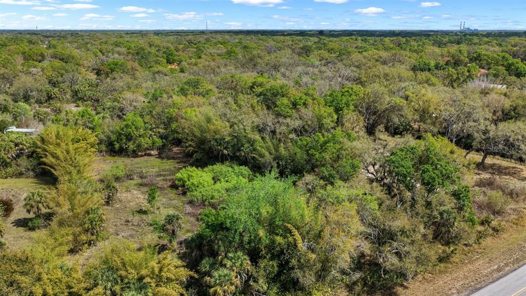 3106 Timberlee Road Wimauma, FL 33598 - Photo 24 of 50