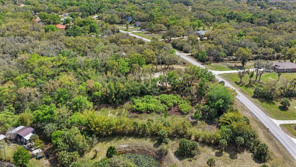 3106 Timberlee Road Wimauma, FL 33598 - Photo 26 of 50
