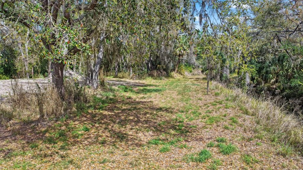 3106 Timberlee Road Wimauma, FL 33598 - Photo 33 of 50