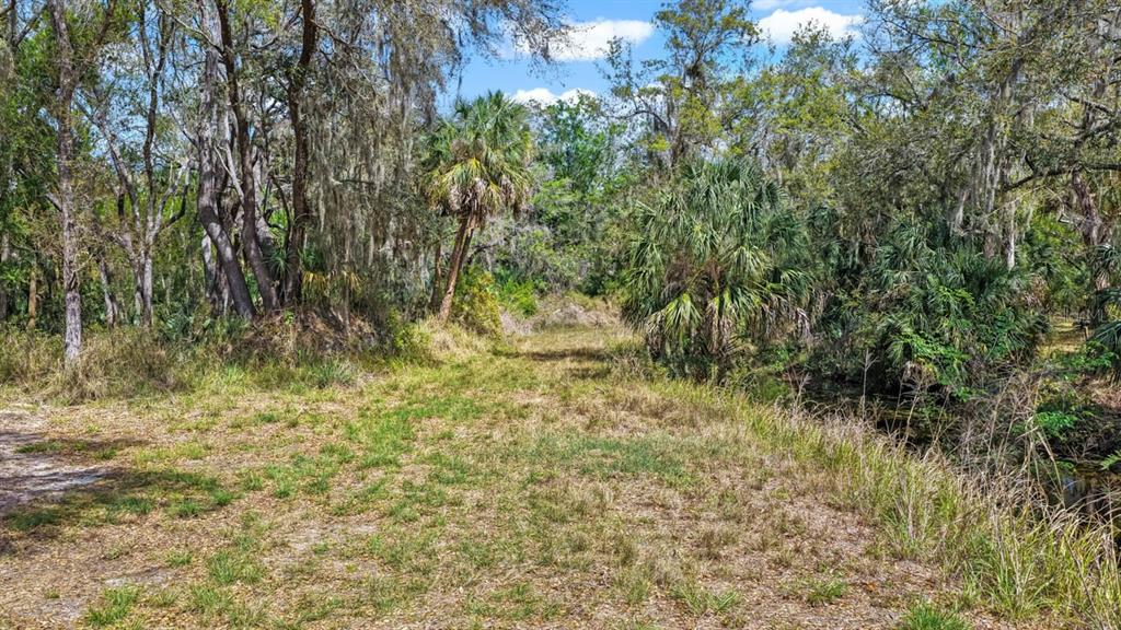 3106 Timberlee Road Wimauma, FL 33598 - Photo 34 of 50