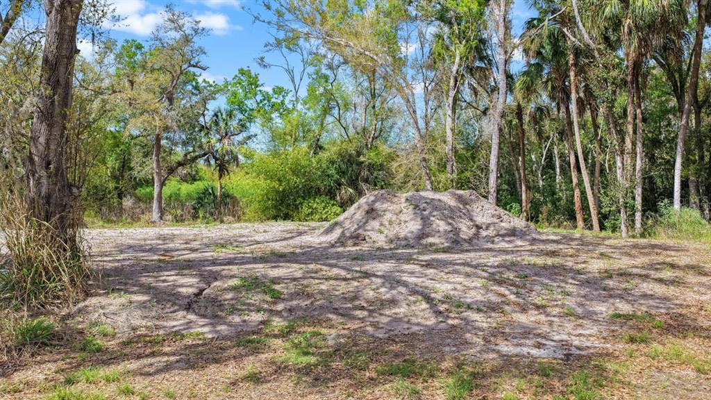3106 Timberlee Road Wimauma, FL 33598 - Photo 35 of 50