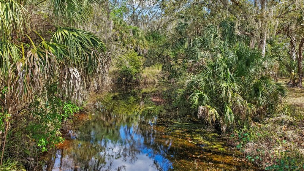 3106 Timberlee Road Wimauma, FL 33598 - Photo 36 of 50