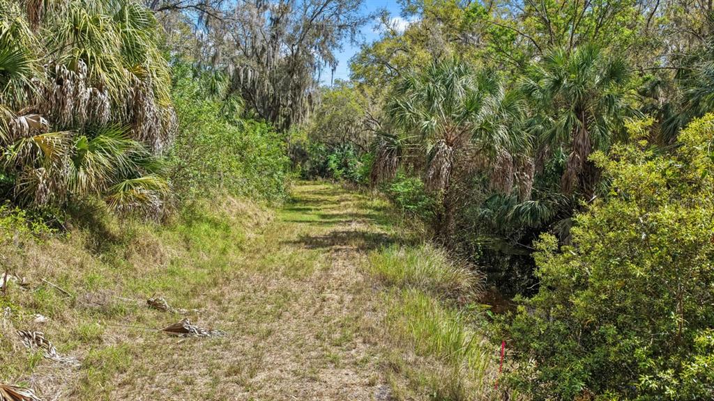 3106 Timberlee Road Wimauma, FL 33598 - Photo 38 of 50