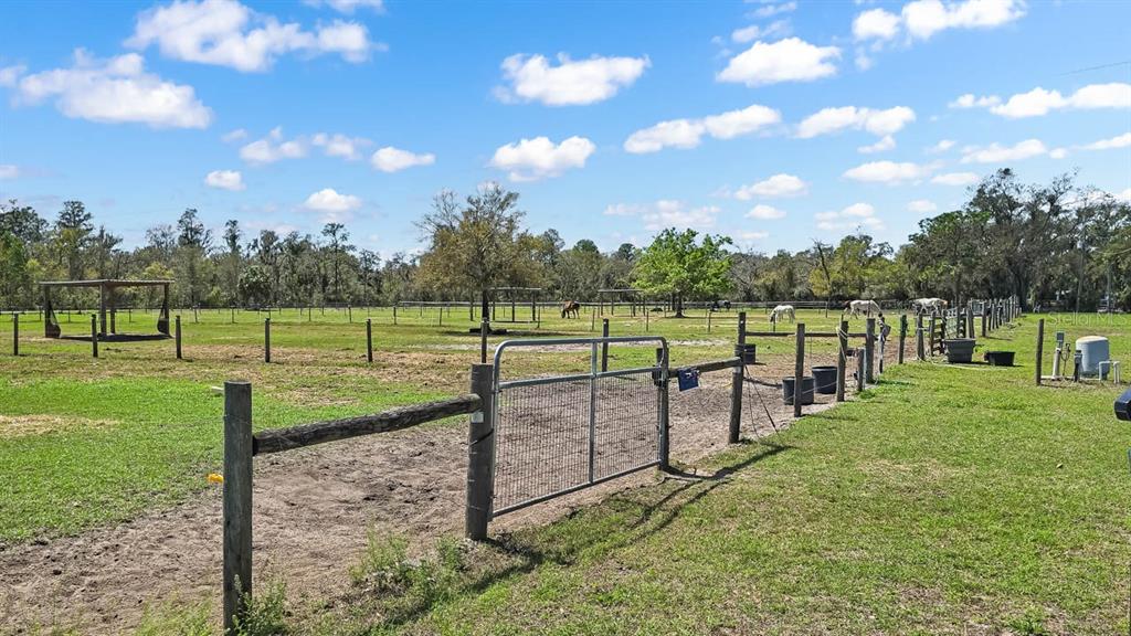 3106 Timberlee Road Wimauma, FL 33598 - Photo 46 of 50