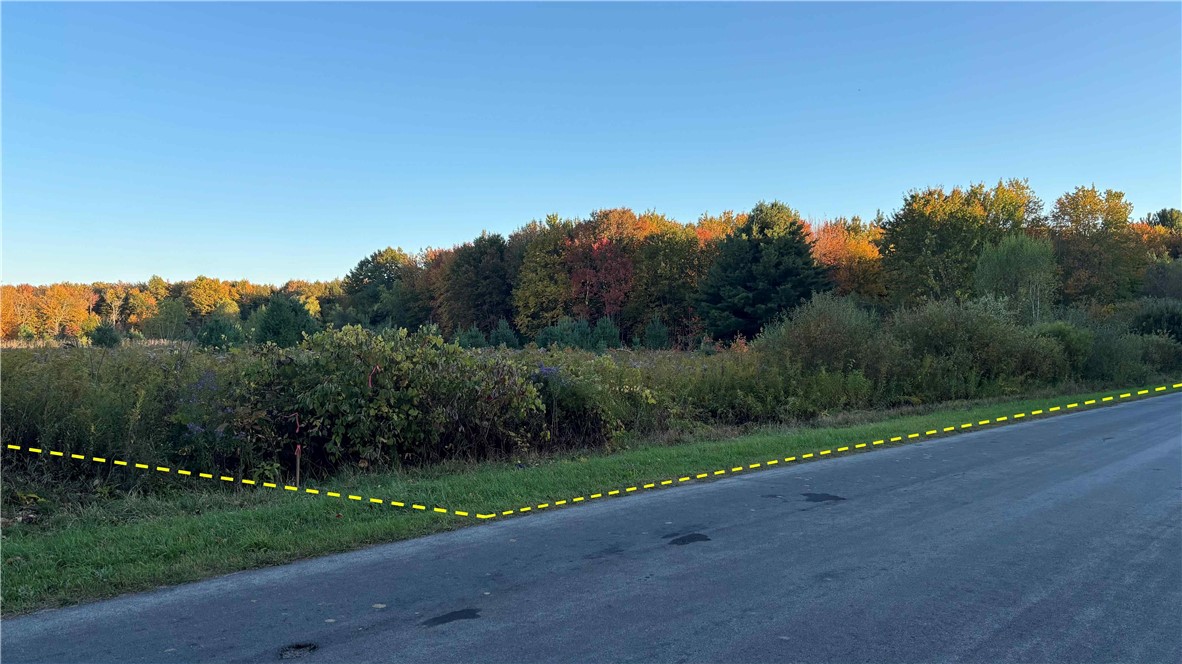 280 White Road Parish, NY 13131 - Photo 14 of 31