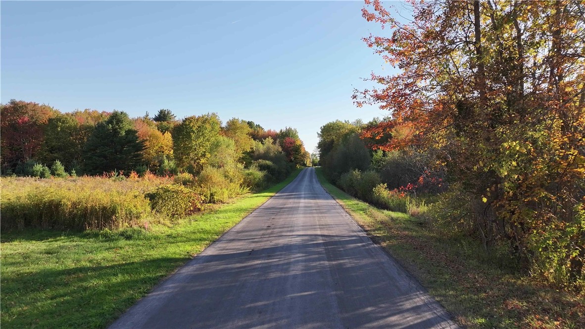 280 White Road Parish, NY 13131 - Photo 16 of 31