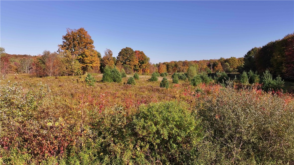 280 White Road Parish, NY 13131 - Photo 17 of 31