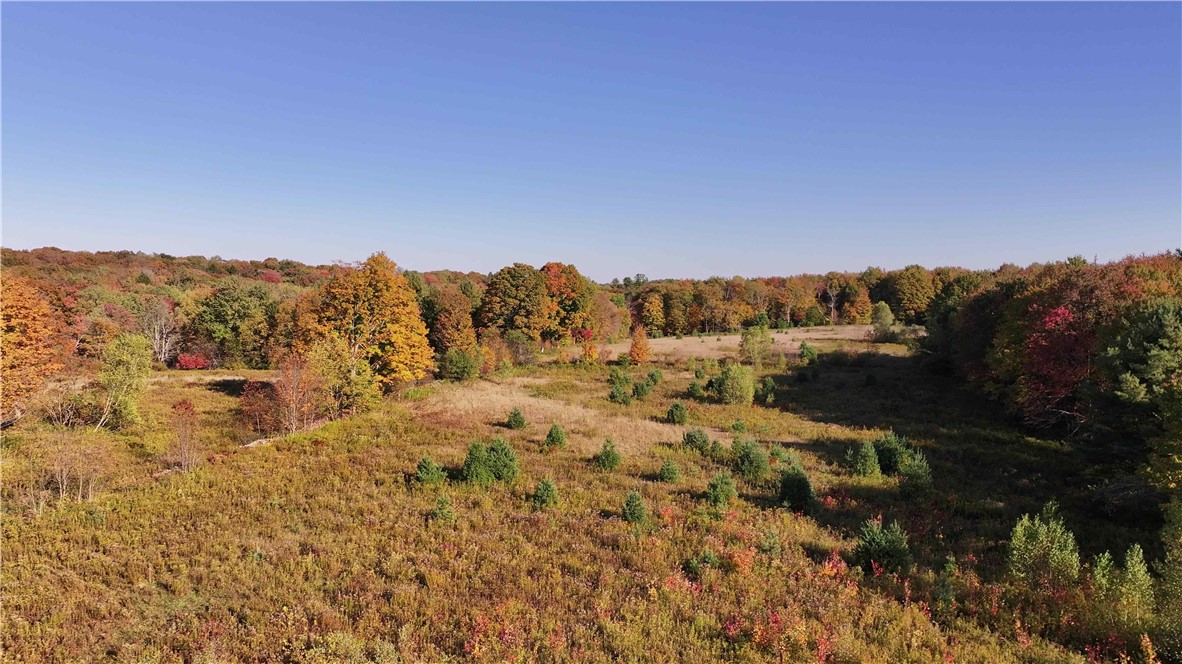 280 White Road Parish, NY 13131 - Photo 18 of 31