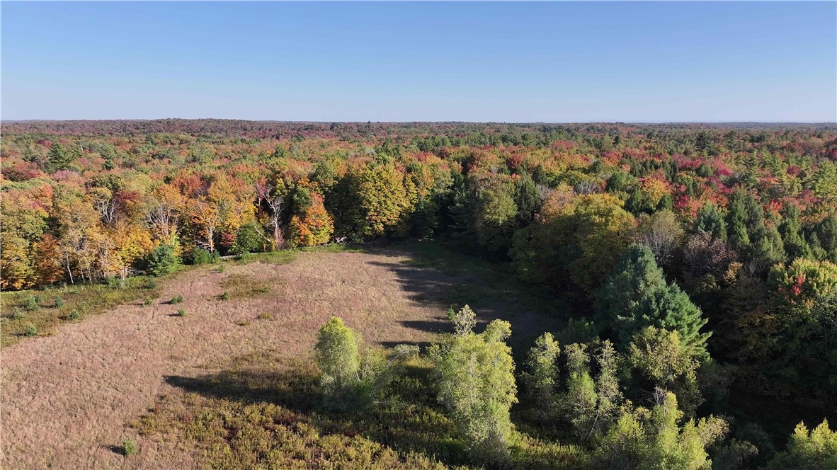 280 White Road Parish, NY 13131 - Photo 20 of 31