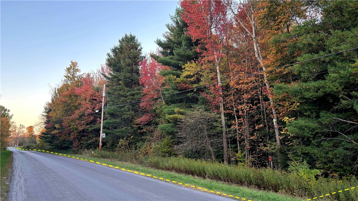 280 White Road Parish, NY 13131 - Photo 21 of 31