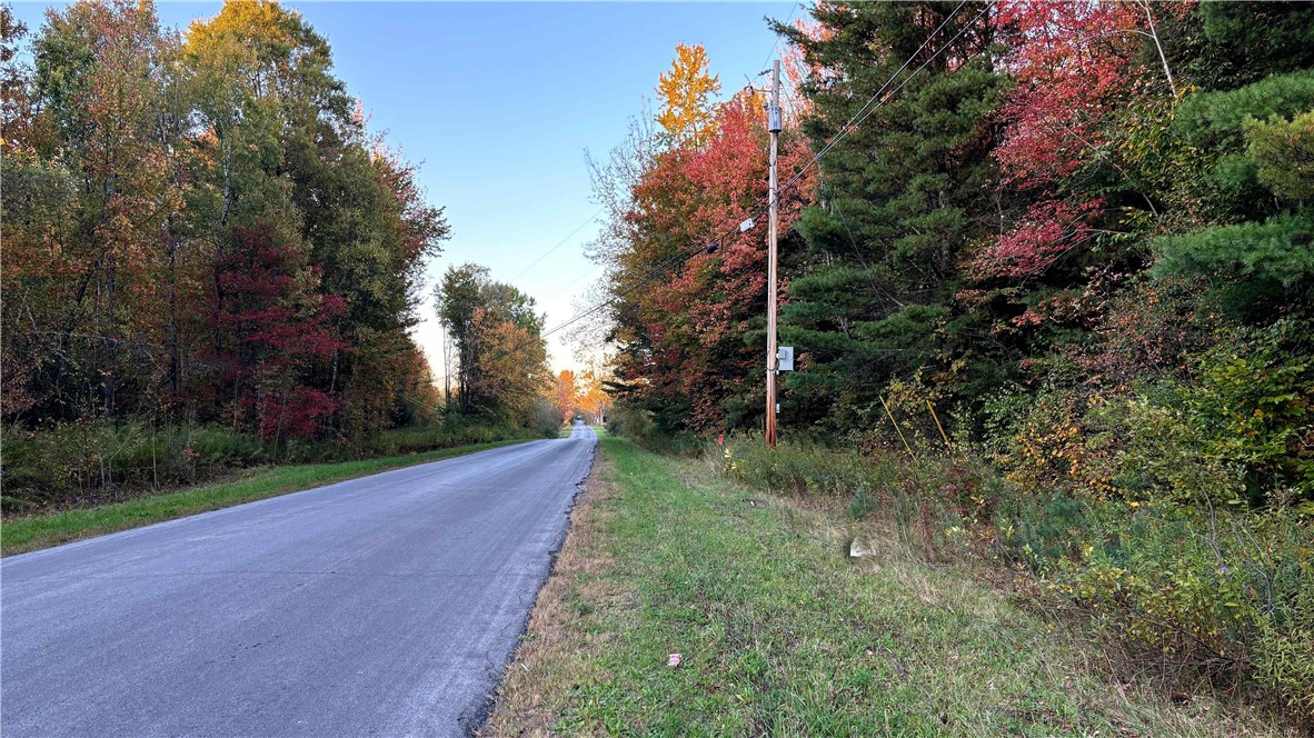 280 White Road Parish, NY 13131 - Photo 22 of 31