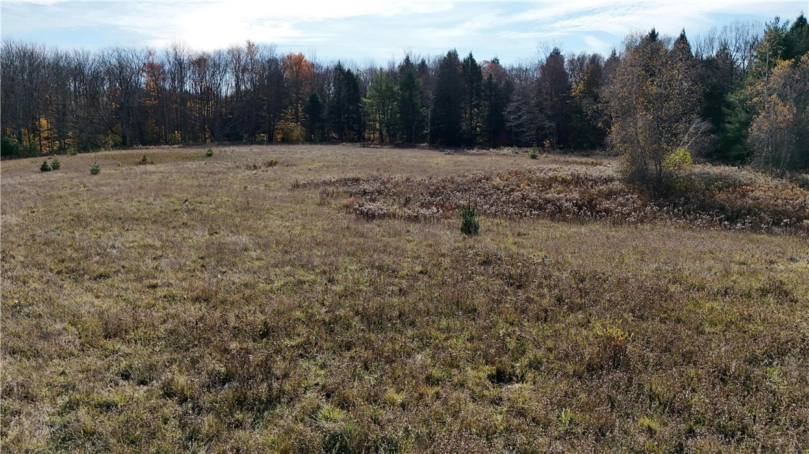 280 White Road Parish, NY 13131 - Photo 24 of 31