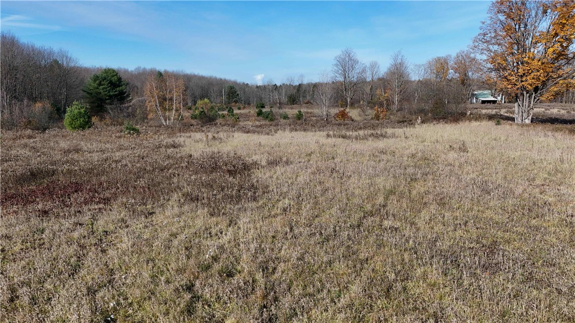 280 White Road Parish, NY 13131 - Photo 26 of 31