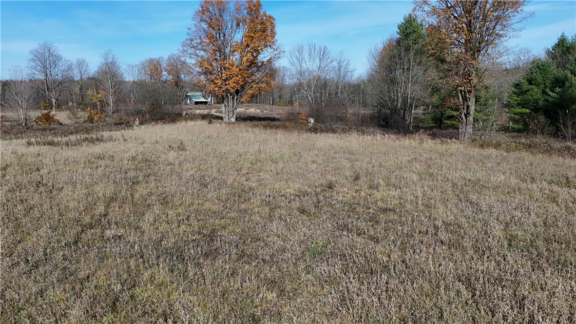 280 White Road Parish, NY 13131 - Photo 27 of 31