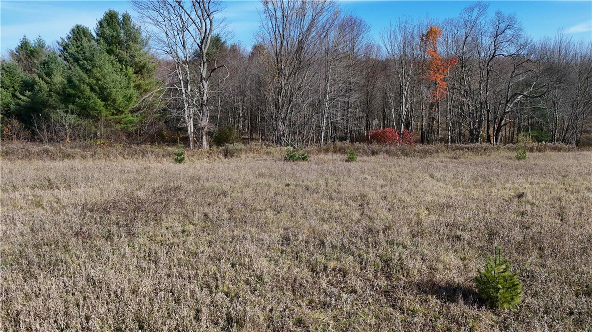 280 White Road Parish, NY 13131 - Photo 28 of 31