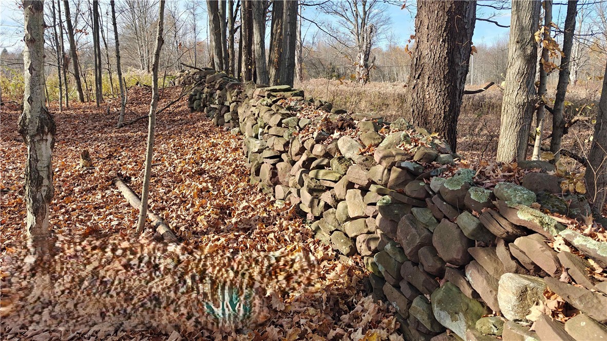 280 White Road Parish, NY 13131 - Photo 31 of 31