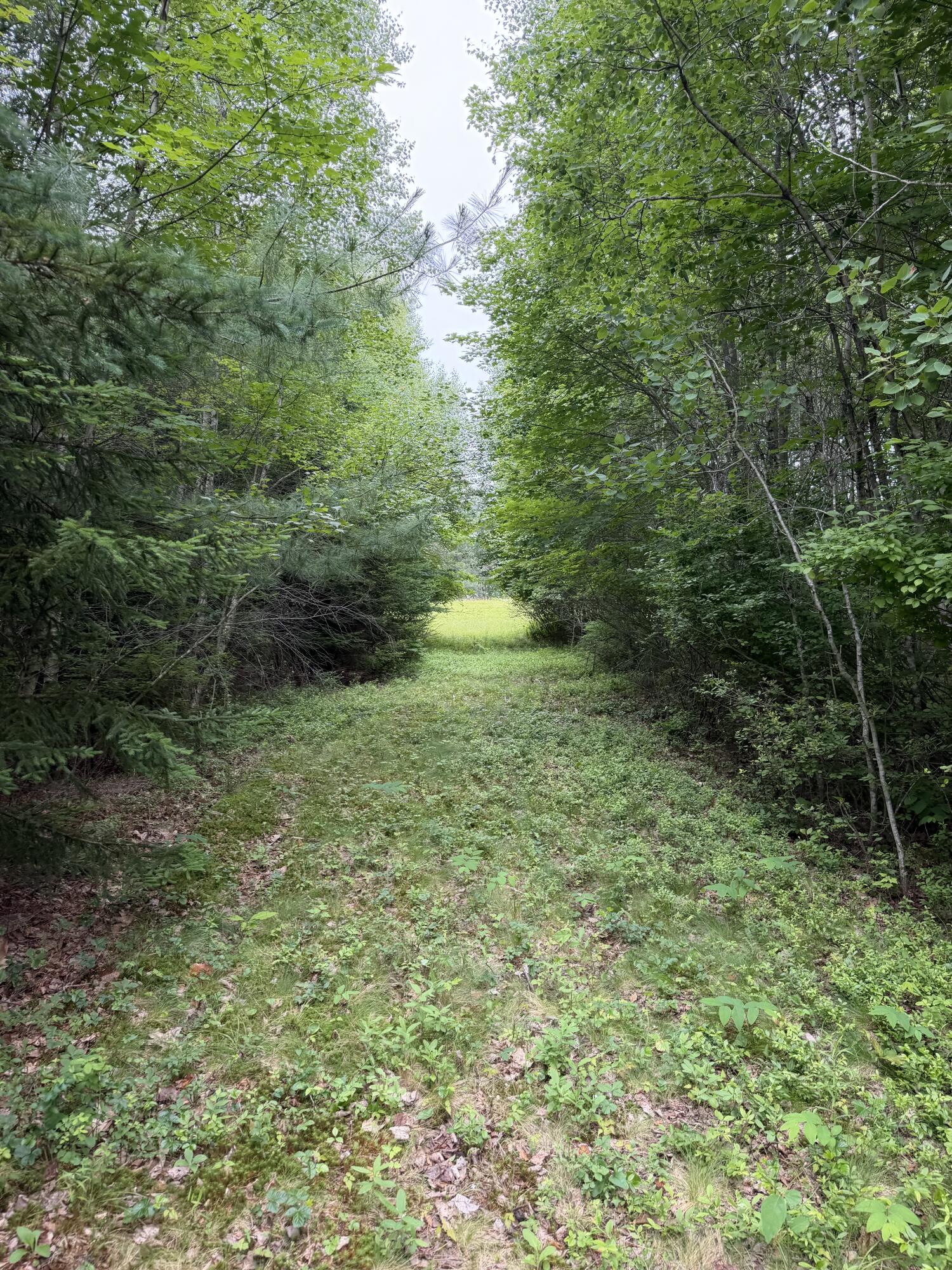 0 Ellsworth Road Blue Hill, ME 04614 - Photo 2 of 3 IMG_2186