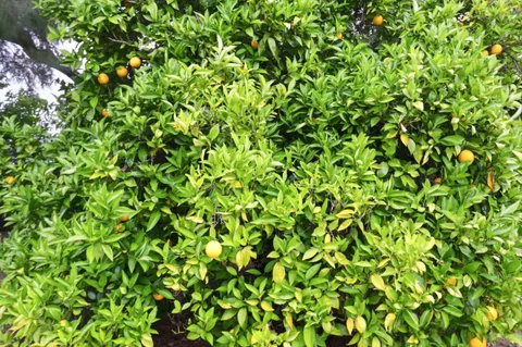 $2,098,000 | 14701 Charmeran Avenue, San Jose, CA 95124