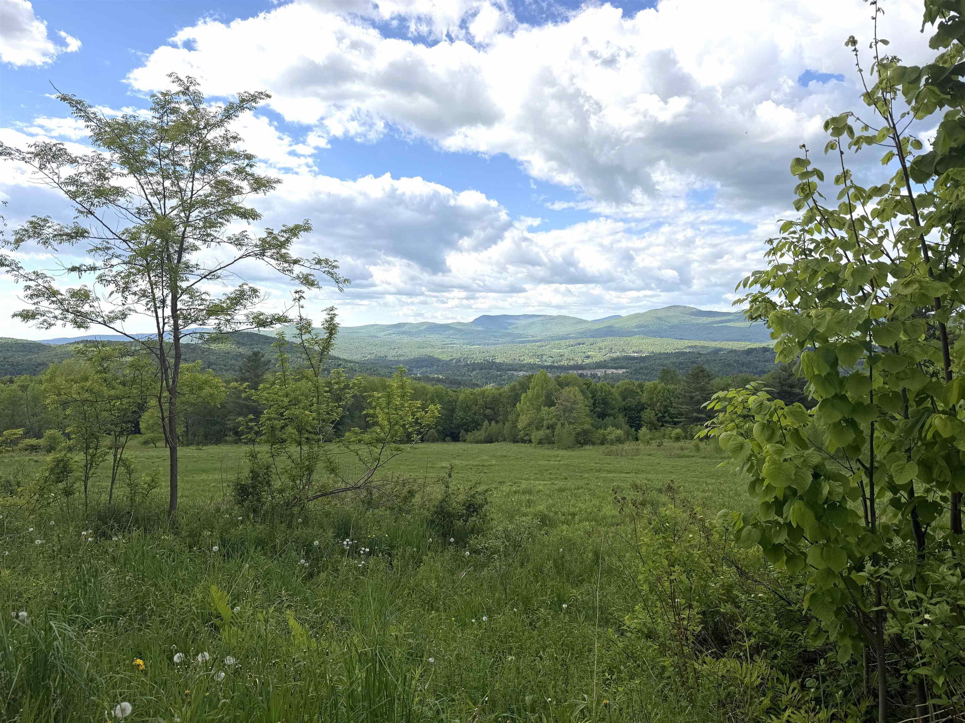877 Grow Road Johnson, VT 05656 - Photo 3 of 5