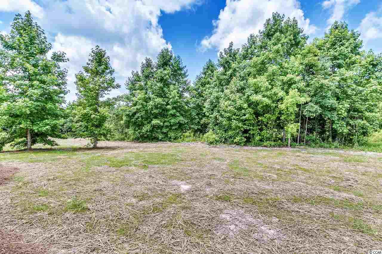 289 Morris Road Conway, SC 29526 - Photo 18 of 19 Gallery Image 18