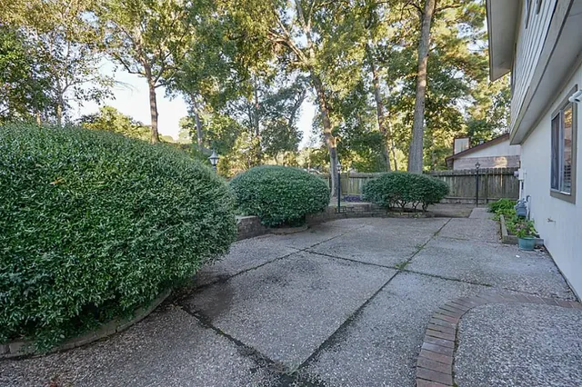 a view of a street with potted plants and large trees