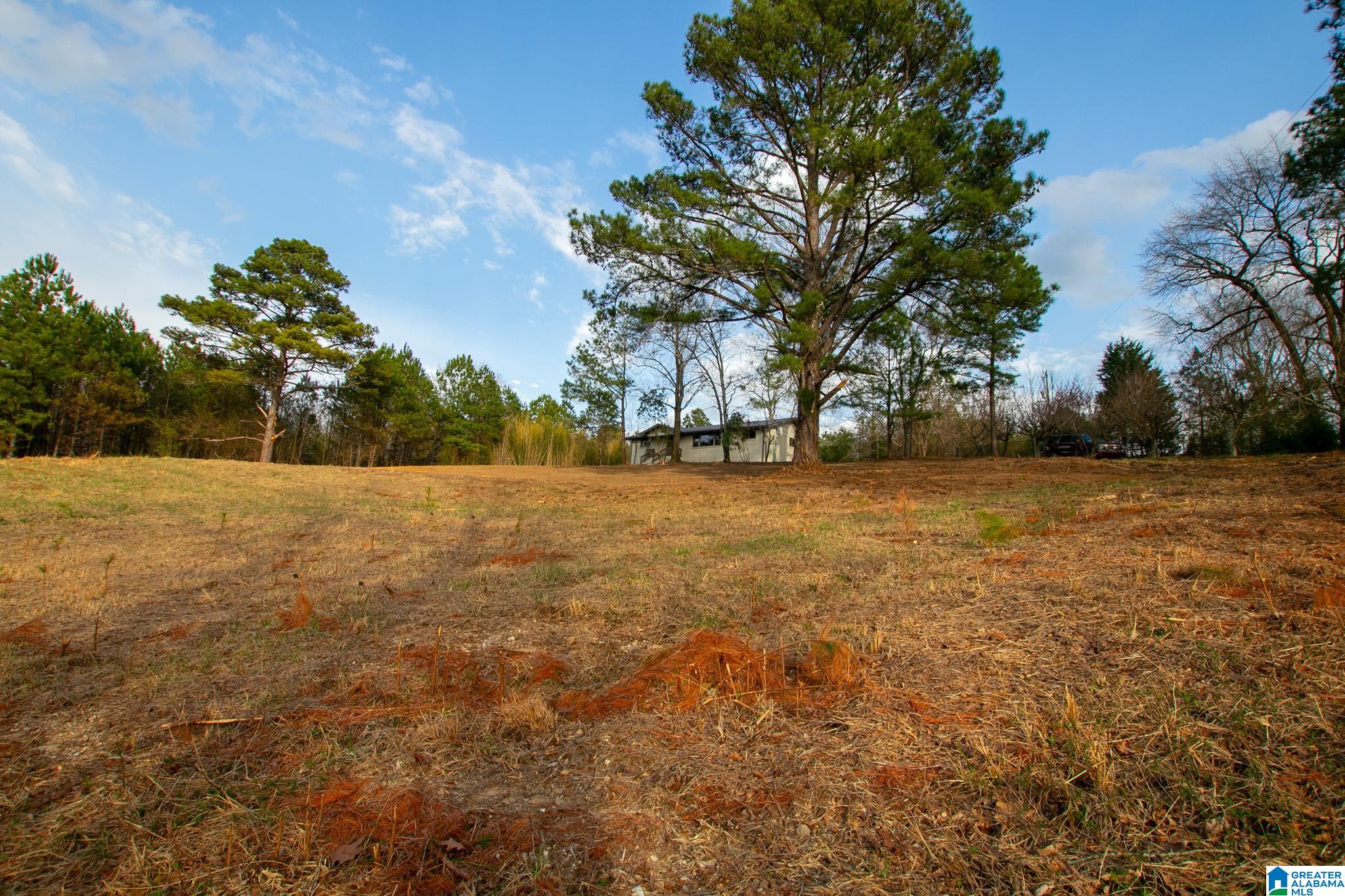 1171 Hollingsworth Road Cleveland, AL 35049 - Photo 52 of 59 Gallery Image 52