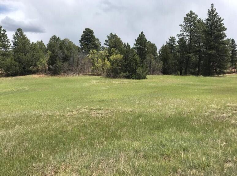 2655 East Cedar Drive, Unit 39 Springdale, UT 84767 - Photo 5 of 11 Screenshot 2026-04-07 083640