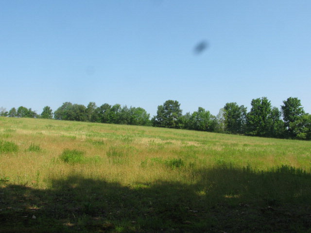 5601 Mcnutt Run Road Campbell, NY 14821 - Photo 1 of 1 Gallery Image 1