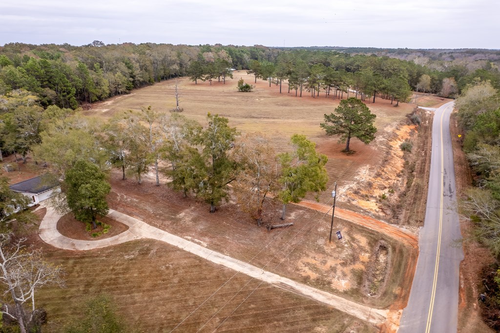 1638 Goose Hollow Road Geneva, AL 36340 - Photo 65 of 74