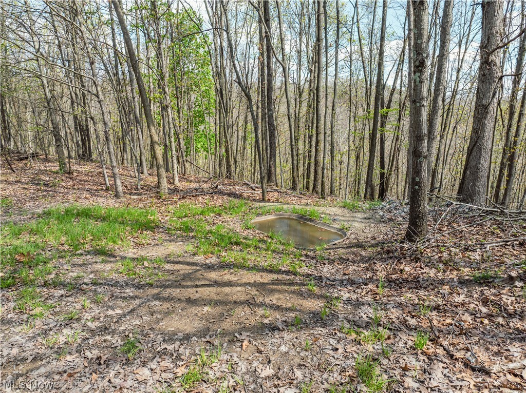 Ridge Road Southeast Uhrichsville, OH 44683 - Photo 18 of 49