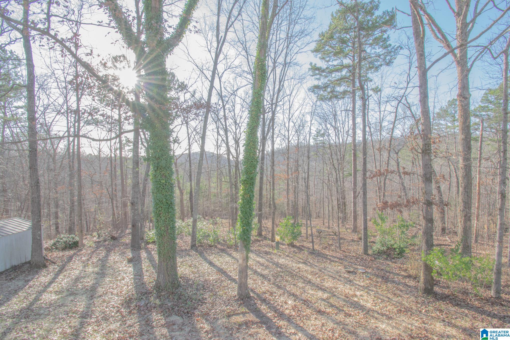 1167 Ridgewood Drive Remlap, AL 35133 - Photo 11 of 18 Gallery Image 11