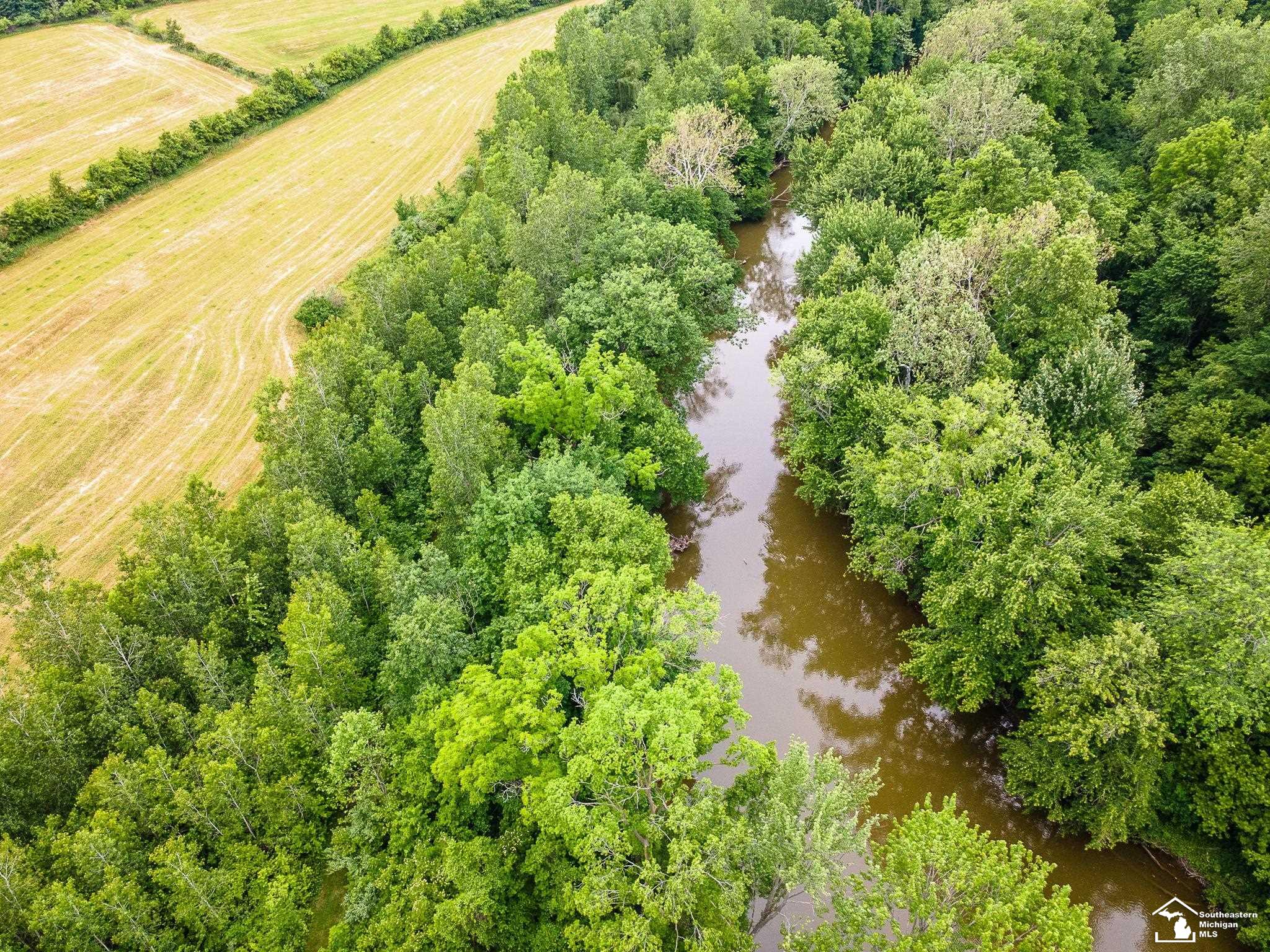 13999 Rightmire Road Dundee, MI 48131 - Photo 13 of 41