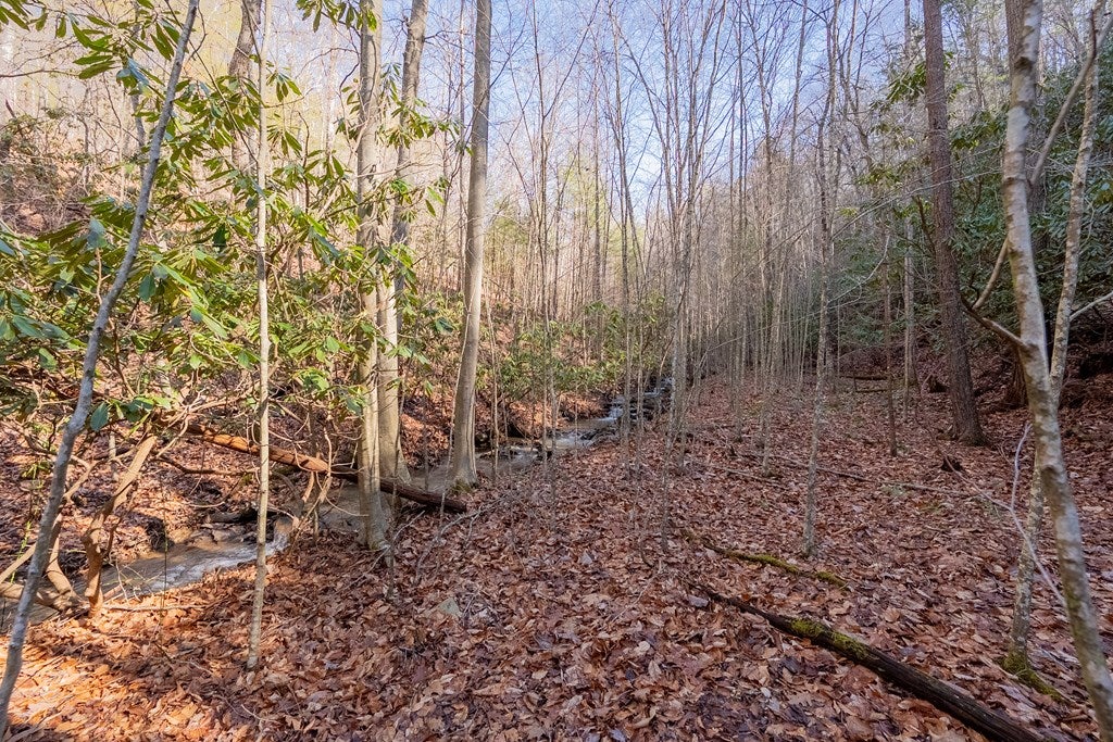 485 Grouse Ridge Road Max Meadows, VA 24360 - Photo 56 of 76 Gallery Image 56