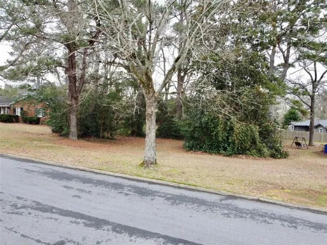 a view of a yard with snow on road