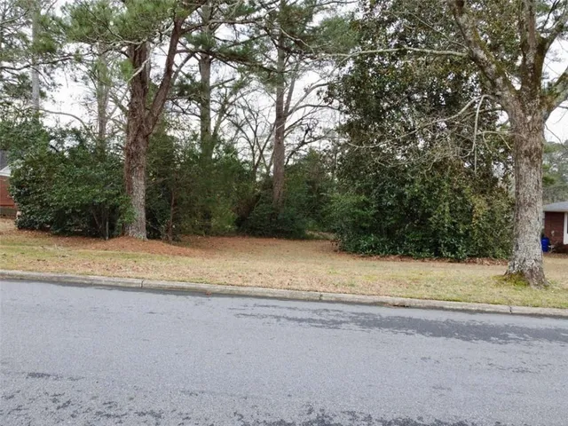 a view of a yard with a large trees