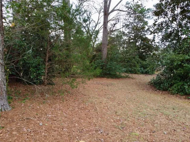 a view of a forest with trees in the background