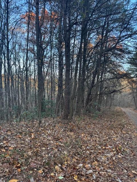 19 N Fox Run Lane Jasper, GA 30143 - Photo 2 of 11