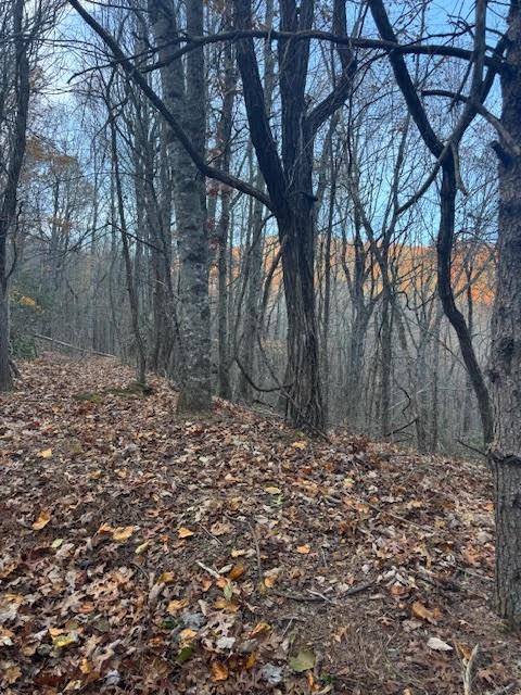 19 N Fox Run Lane Jasper, GA 30143 - Photo 3 of 11