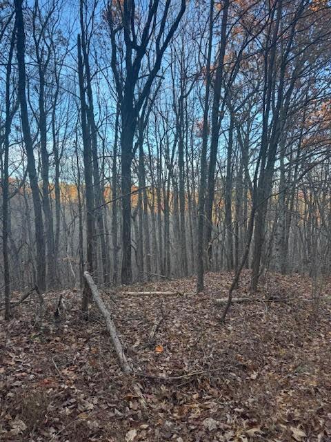 19 N Fox Run Lane Jasper, GA 30143 - Photo 4 of 11