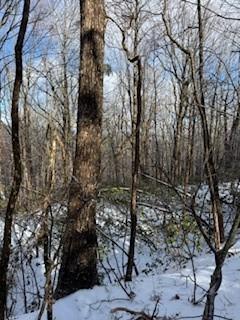 19 N Fox Run Lane Jasper, GA 30143 - Photo 5 of 11