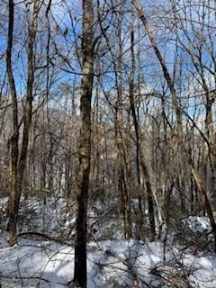 19 N Fox Run Lane Jasper, GA 30143 - Photo 9 of 11