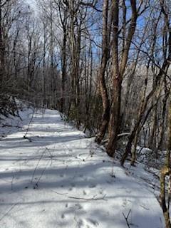 19 N Fox Run Lane Jasper, GA 30143 - Photo 10 of 11