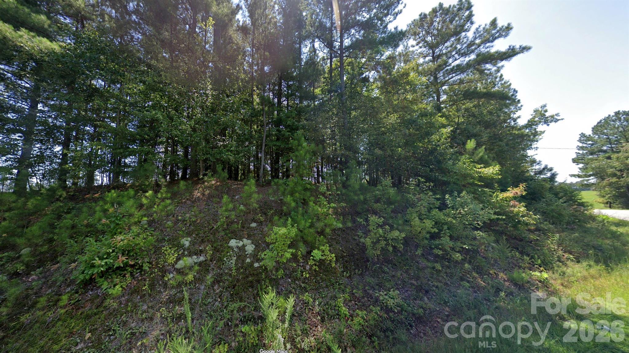 6183 Icard Dam Road Hickory, NC 28601 - Photo 2 of 5