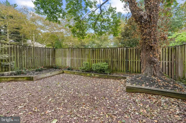 a view of a park with a large trees
