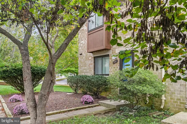 front view of a house with a tree