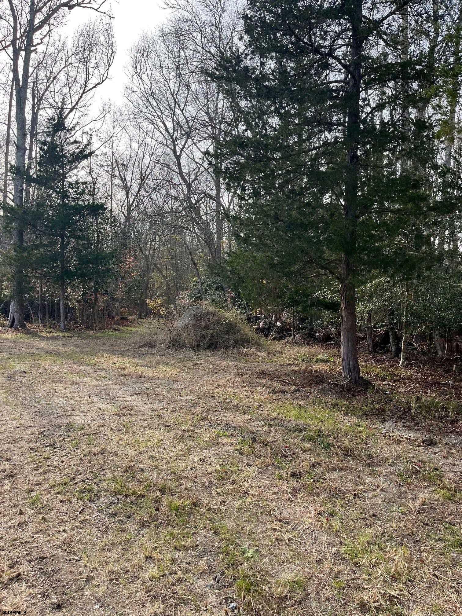 225 Zion Road Egg Harbor Township, NJ 08234 - Photo 3 of 7 a backyard of a house with lots of green space