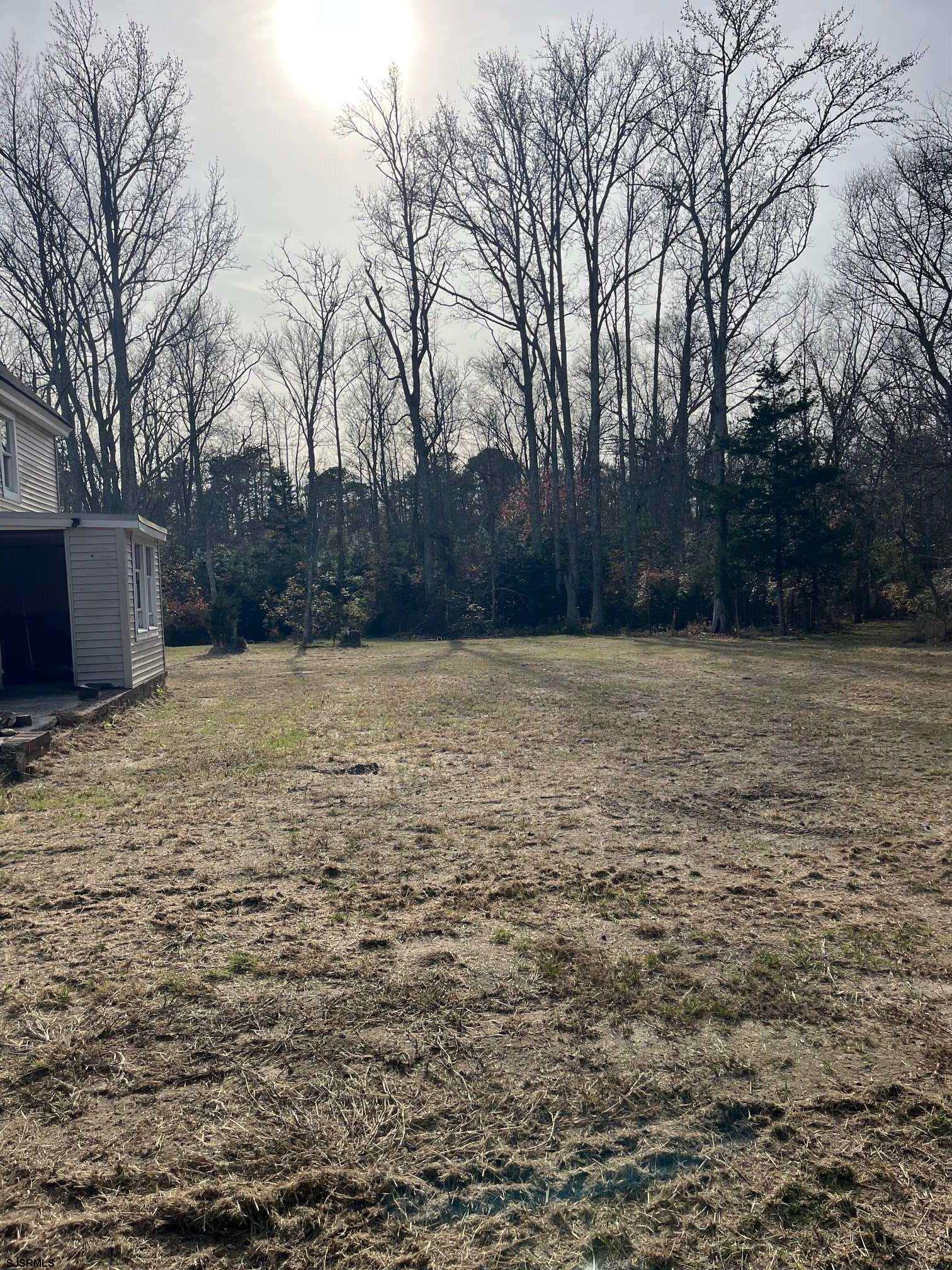 225 Zion Road Egg Harbor Township, NJ 08234 - Photo 4 of 7 a view of a yard with trees