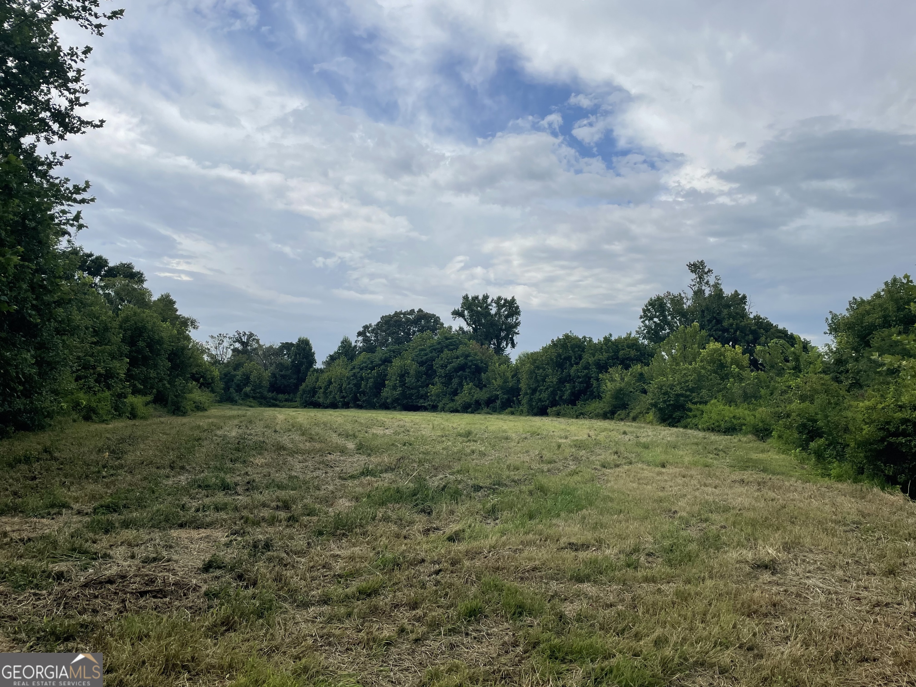 12684 Highway 59 Carnesville, GA 30521 - Photo 10 of 44 Gallery Image 10