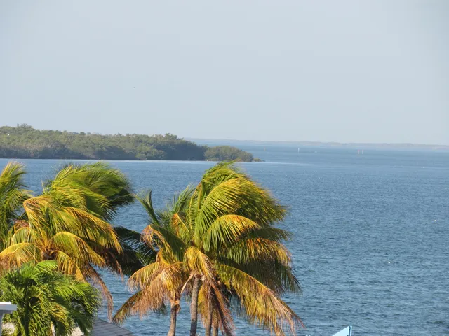 a view of lake and mountain in the background